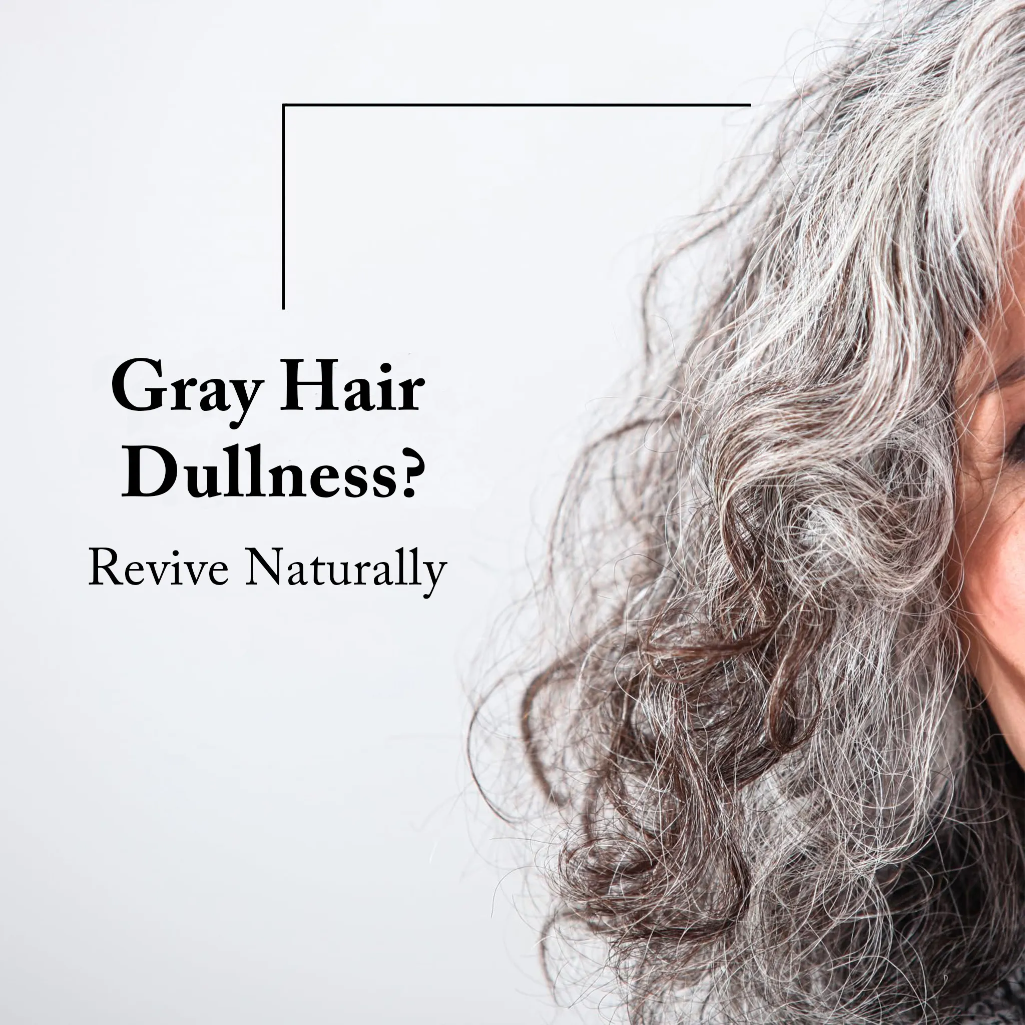 Shampoo For Gray Hair - Image 46