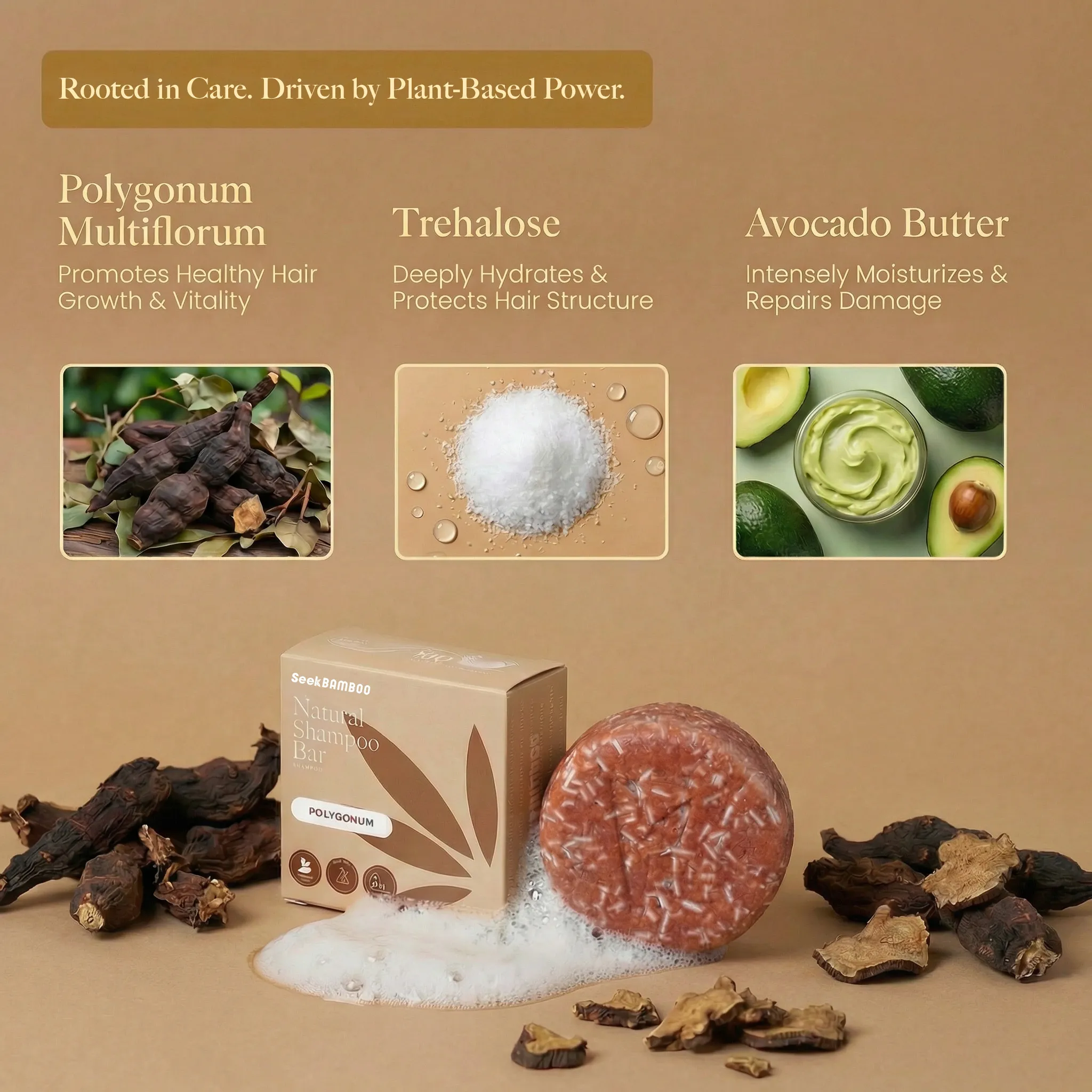 Shampoo For Gray Hair - Image 51