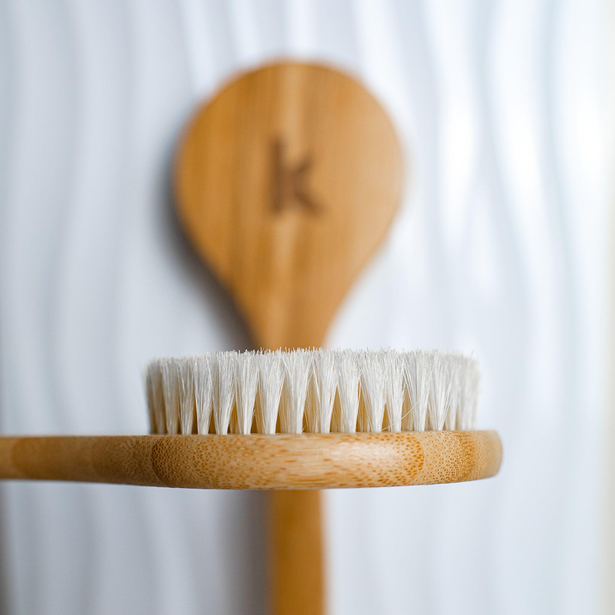Dry Body Brush - Image 5