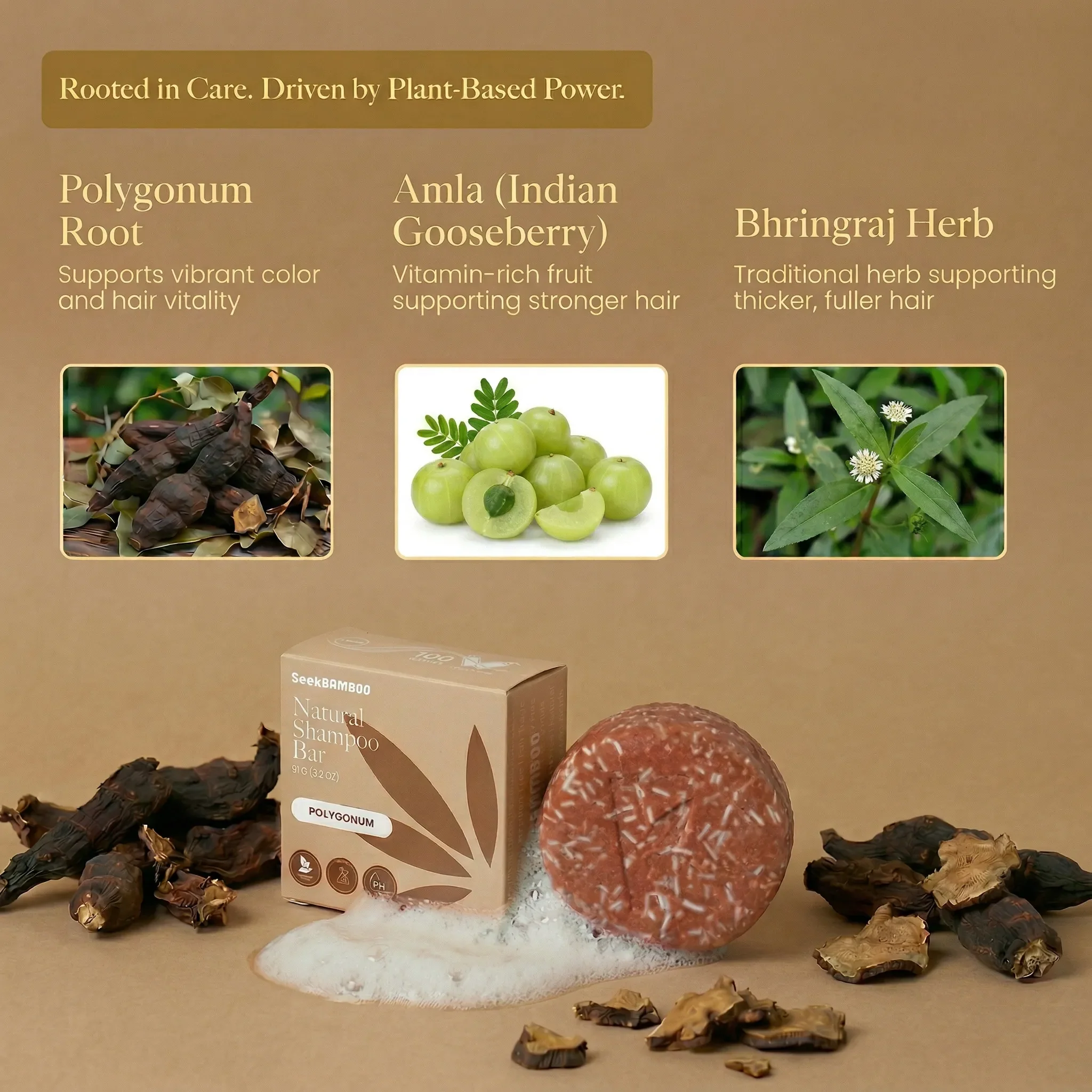 Polygonum Shampoo Bar - Image 5