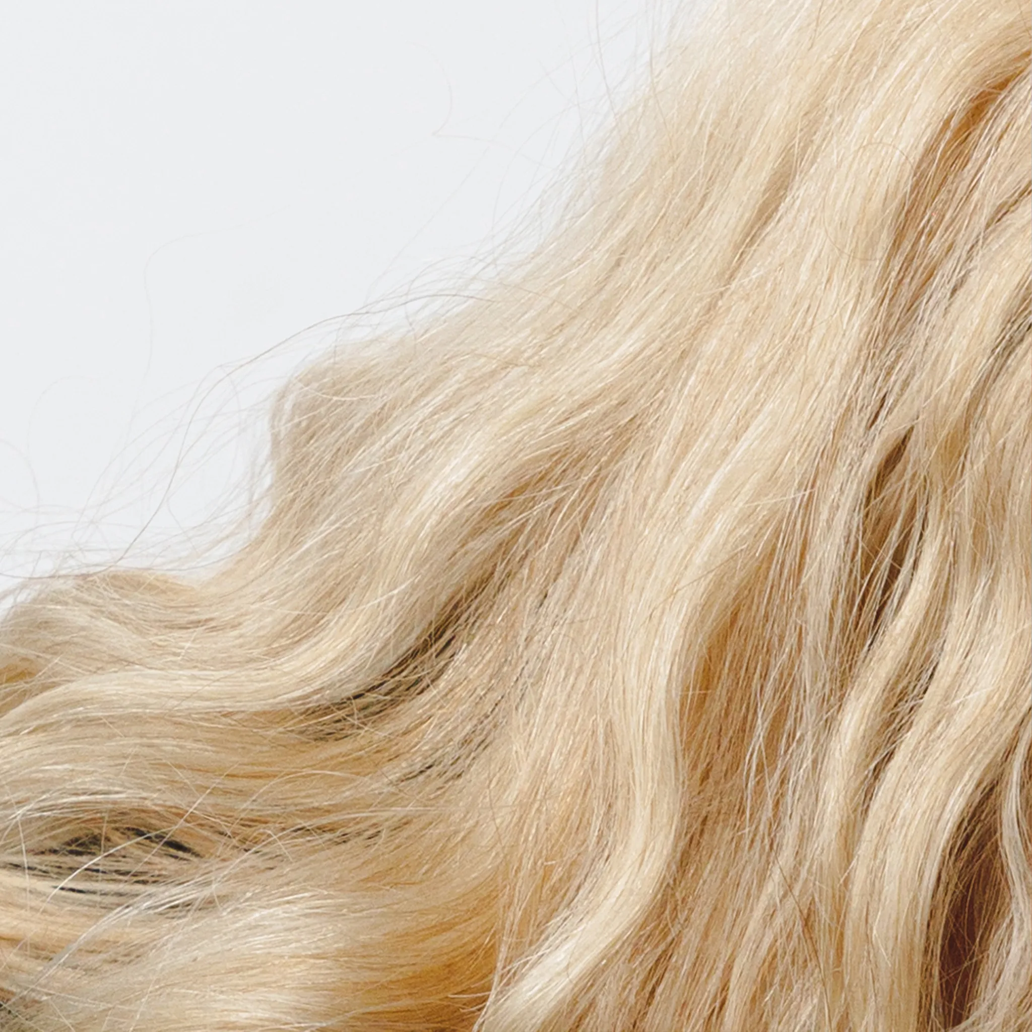 Purple Shampoo Bar - Image 7