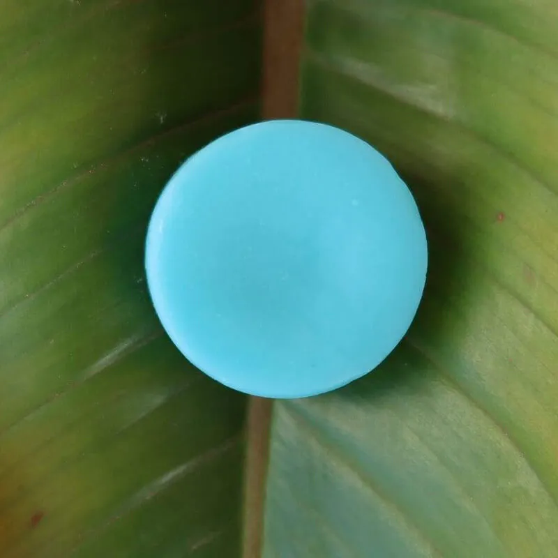 Seaweed Conditioner Bar - Image 3