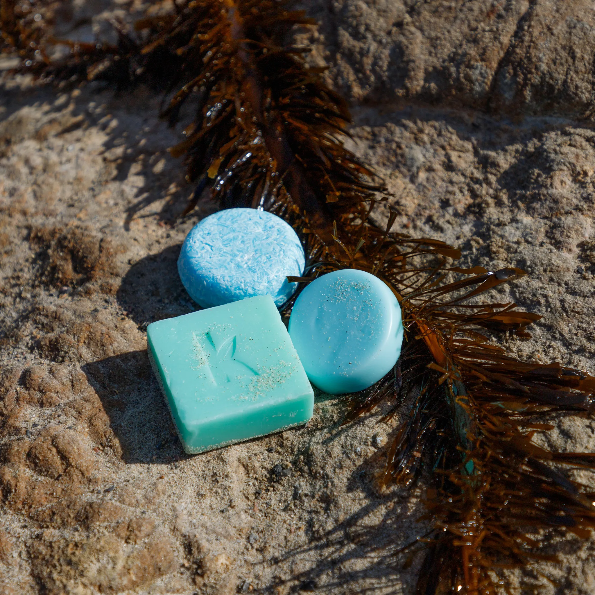 Seaweed Shampoo and Conditioner - Image 7