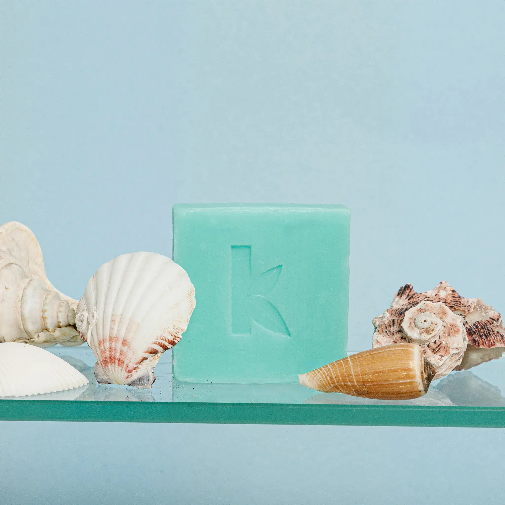 Seaweed Shampoo and Soap - Image 6