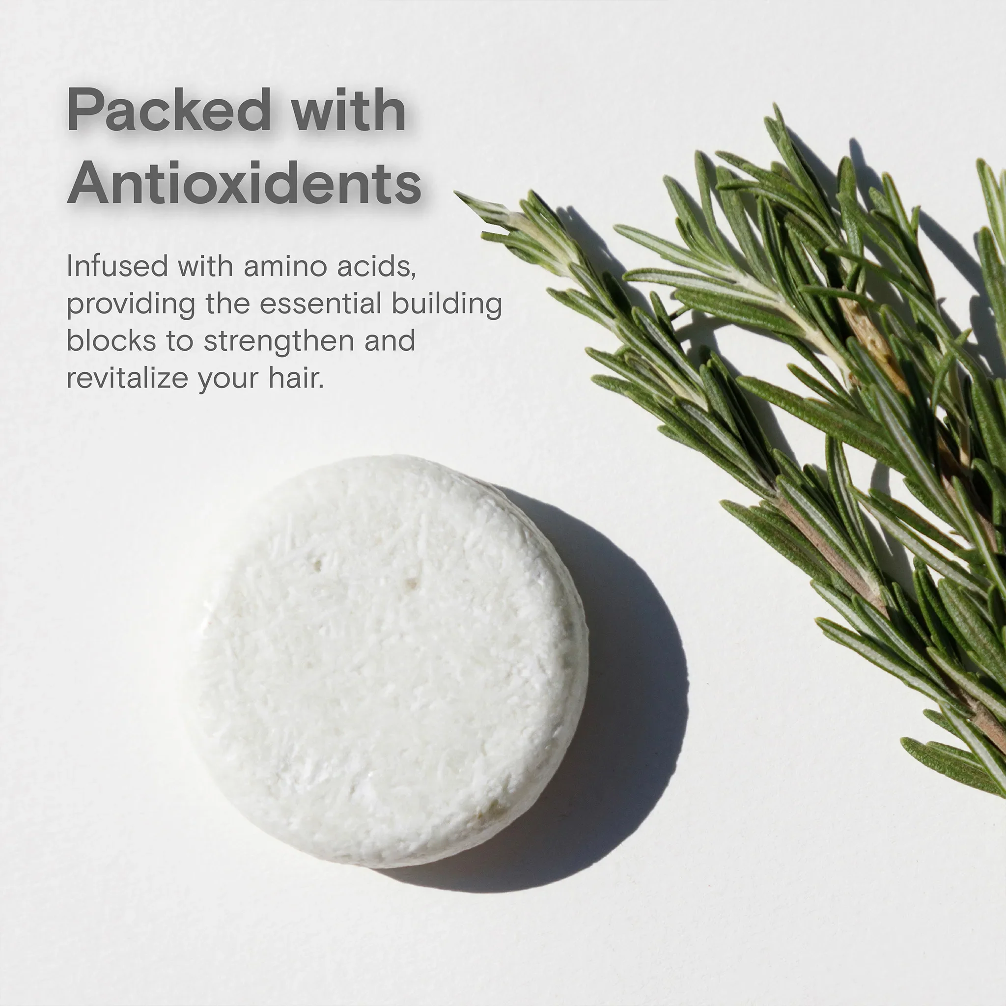 Shampoo + Conditioner For Dry Hair - Image 24